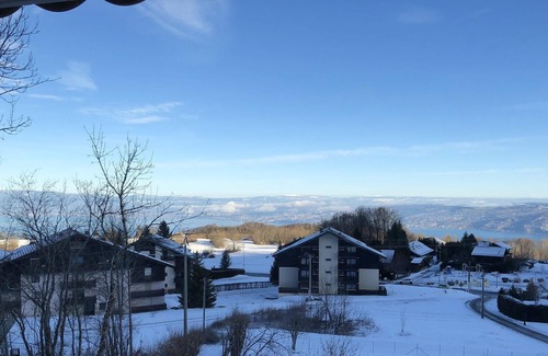 Thollon-les-Memises Apartment | Homerez - Nice apartement 360 m away from the slopes for 6 ppl. with balcony