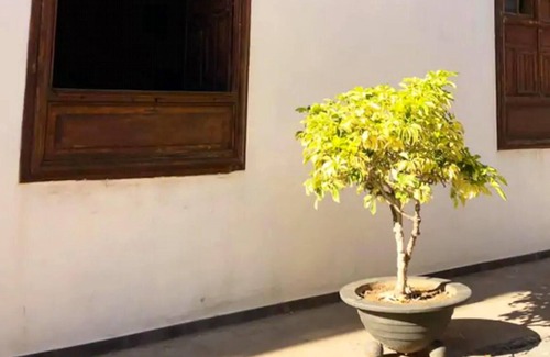Garachico Apartment | Homerez - Nice studio 600 m away from the beach for 4 ppl. at Garachico