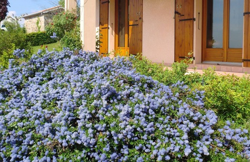Planzolles House | Homerez - Spacious house for 6 ppl. with garden and terrace at Planzolles
