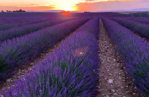 Riez Villa | Homerez - Spacious villa for 7 ppl. with swimming-pool and terrace at Riez