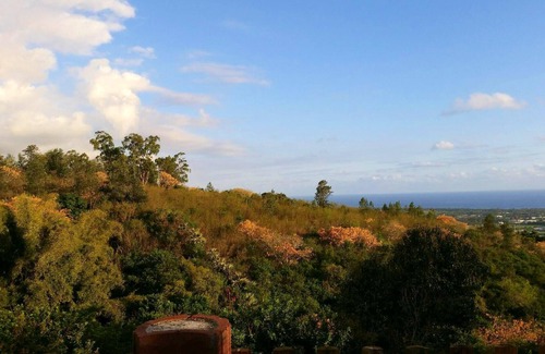 L'Etang-Sale Apartment | Homerez - Studio 6 km away from the beach for 2 ppl. with garden at L'étang sale