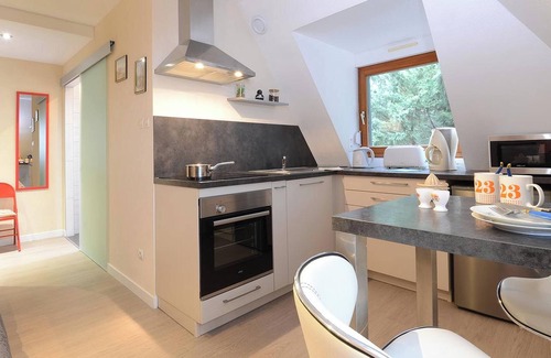 Ribeauville Apartment | Homerez - Studio Ribeauville, Mountain View