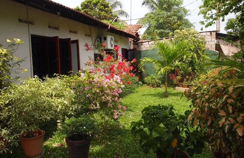 Negombo House | Homestay - Typical Sri Lankan Village Setting - Hosted by an English Gentleman