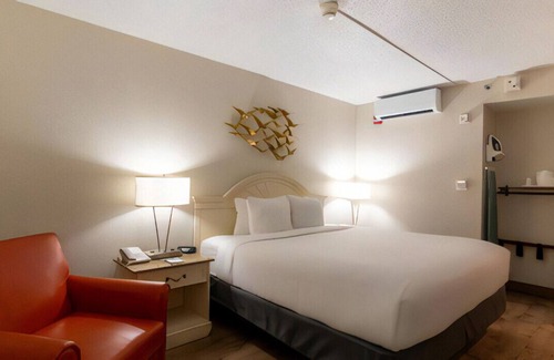 Del Mar House | Homey King Bed w/ Thick Mattress Roll-in Shower