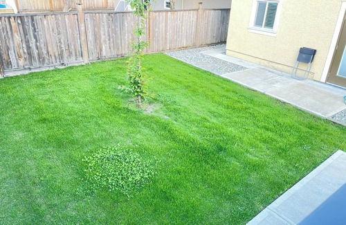 Arbutus Ridge House | Homey room located at Arbutus, Vancouver West. Quiet and comfortable .
