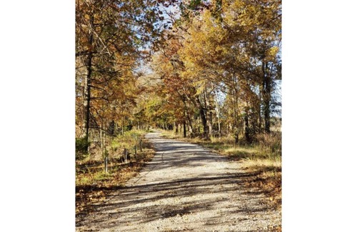 Henry County Cabin | Honey Creek Hideaway at Back Country Camp