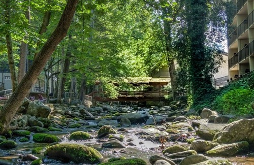 Gatlinburg Cottage | Honeymoon Cottage, creek view.