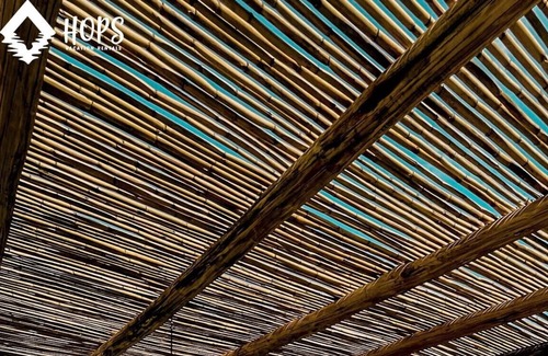 Ica Other | HOP TIKAY hermoso campo y playa