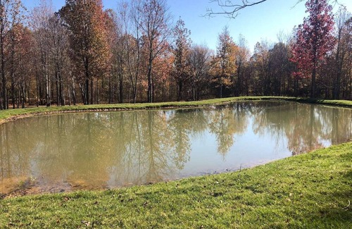 Huron Cabin | Hopping Kangaroo Cabin only .5 miles from the Safari Park!