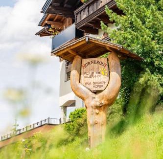 Altenmarkt im Pongau Apartment | Hornergut