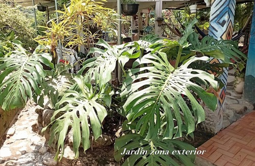 Mocoa Hotel | Hostal Ariantiy Rodeado de Selva, Fauna, Mariposas, Frutas del Putumayo y Rios