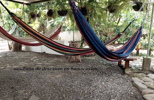 Mocoa Hotel | Hostal Ariantiy Rodeado de Selva, Fauna, Mariposas, Frutas del Putumayo y Rios