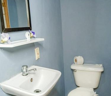 Coco Apartment | Hospedaje Combi dream bird