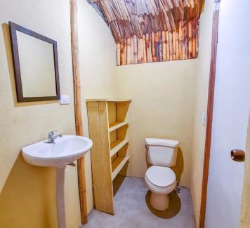 Coco Apartment | Hospedaje Combi dream bird