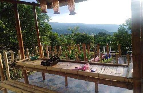 Tena House | Hospedaje las margaritas