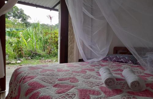 Mocoa House | Hostal Ariantiy