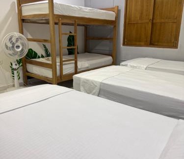 Palomino House | Hostal Cilipo