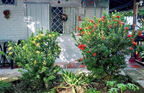 Tolu House | Hostal CORALES