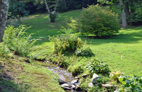 Almond Cabin | Hot Tub And Deck Along Creek, Pet friendly, Close To NOC, Tsali, And Dragon