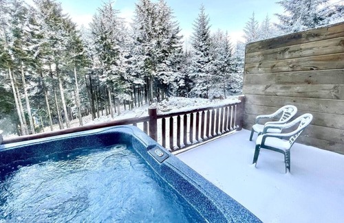Snowshoe House | Hot Tub->BEST Ski-In+Out->Gear rm, PS-5, Fun+Lux
