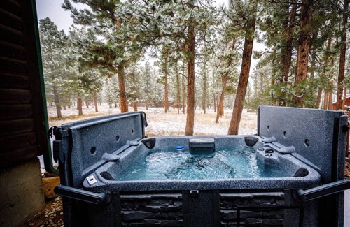 Buena Vista Cabin | Hot Tub I Cabin I Mtn Views I Fireplace I