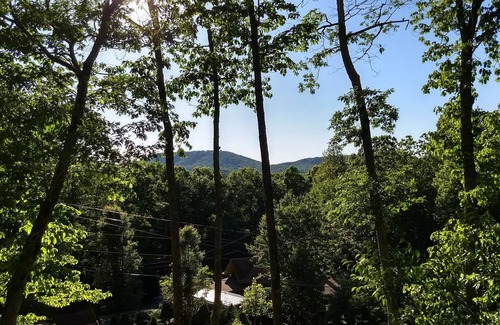 Owl Town Retreat Cabin | Hot Tub, Mtn View, High Speed WIFI- close to town yet away from it all !