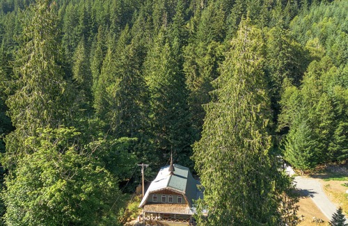 Ashford Cabin | Hot Tub & Sauna - 1 mile from Mount Rainier NP - Forest view - Sleeps 8
