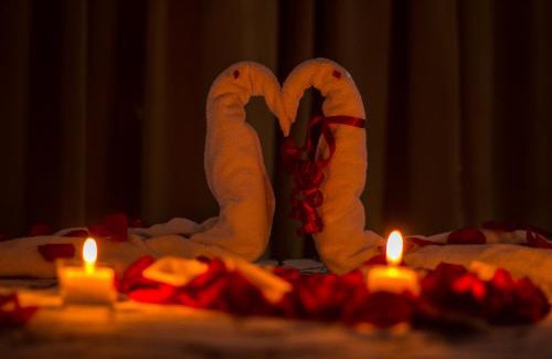 El Bosque Hotel | Hotel Altamar Cartagena