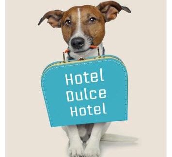 O Grove Apartment | Hotel & Apartamentos Cons da Garda