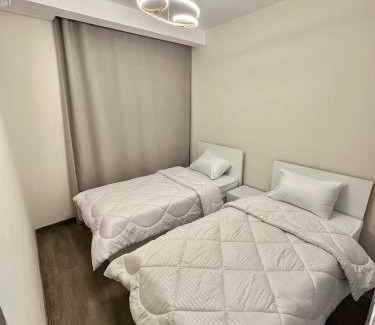 Sheikh Zayed City Apartment | Hotel Apartment in Zaid Towers