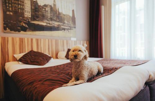 De Weteringschans Hotel | Hotel Asterisk, a family run hotel