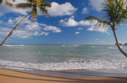 Las Terrenas Hotel | Hotel Atlantis