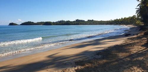 Las Terrenas Hotel | Hotel Atlantis