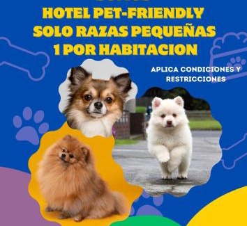 Villa de Leyva Hotel | Hotel Boutique Iguaque Campestre Spa & Ecolodge