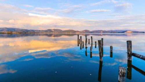 Torre del Lago Puccini Hotel | Hotel Butterfly