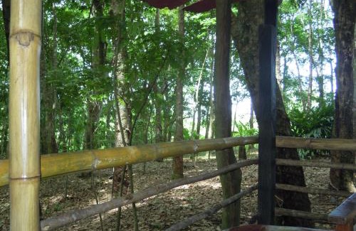 Palenque Cabin | Hotel Cabañas Safari