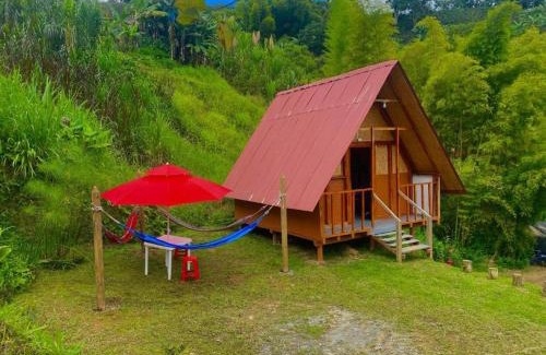 Jardin Other | Hotel Cabañas Villa Loe Jardín