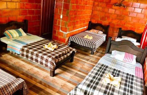 San Agustin Hotel | Hotel Cabañas y Glamping Colinas De San Diego