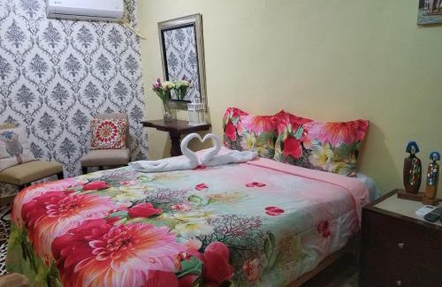 San Anton Apartment | Hotel Cana Palma Zona Colonial