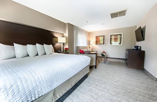 Tuscaloosa Hotel | Hotel Capstone: Double Queen Beds