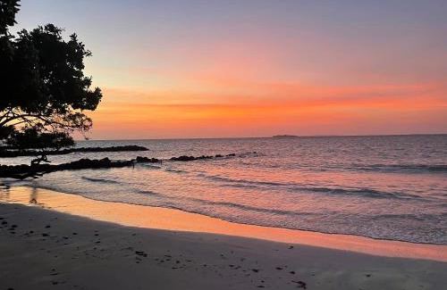 Bocachica Hotel | Hotel Carey Beach Baru