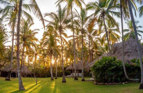 Palomino Hotel | Hotel Casalina