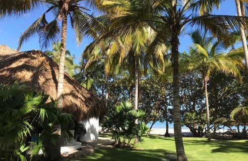 Palomino Hotel | Hotel Casalina