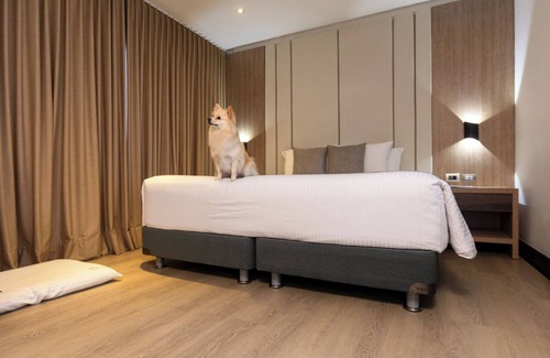 Castropol Hotel | Hotel Dann Carlton Belfort Medellin