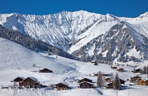 Adelboden Hotel | Hotel Des Alpes