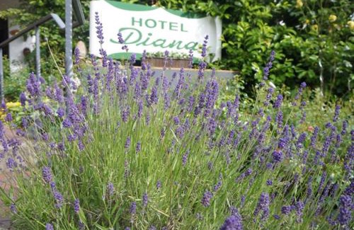 Malente Hotel | Hotel Diana Garni