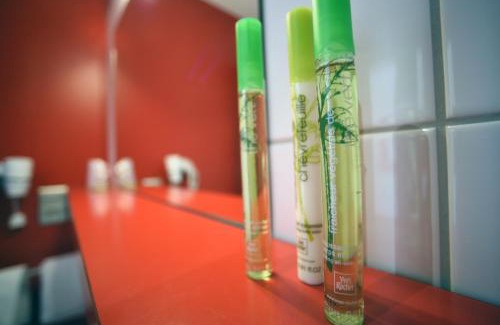 Guebwiller Hotel | Hotel Du Lac