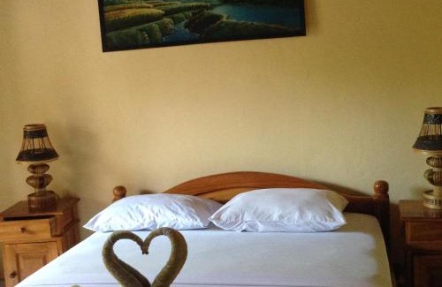 Lovina Hotel | Hotel Dupa
