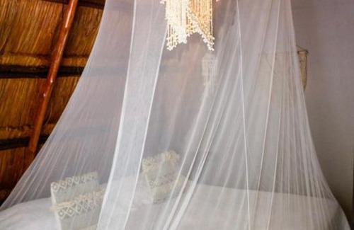 Tierra Bomba Island Hotel | Hotel habitación en lujos hotel en la isla de punta arena