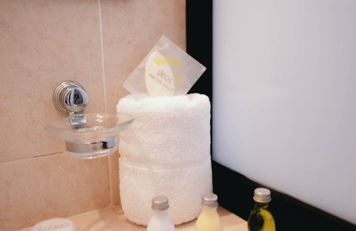 San Miguel de Allende Hotel | Hotel Hacienda La Cieneguita